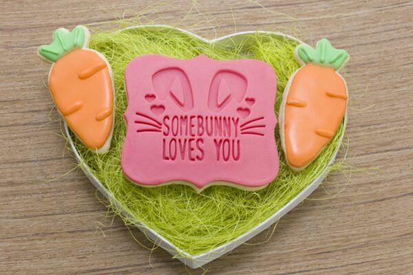 Some Bunny Loves You Plaque Cookie Cutter - Dolce3D