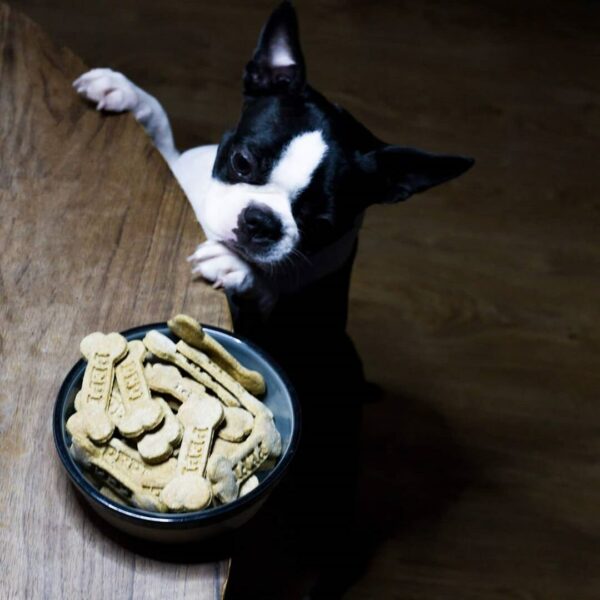 Custom Name 3D Printed Cookie Dog Bone Cookie Cutter - Image 2